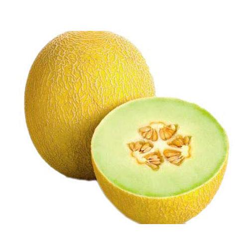 SARDA YELLOW FRUIT