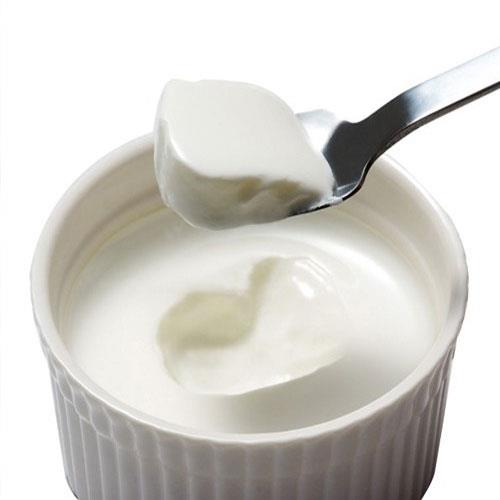 YOGURT CURD