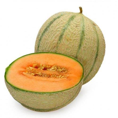 MUSK MELON